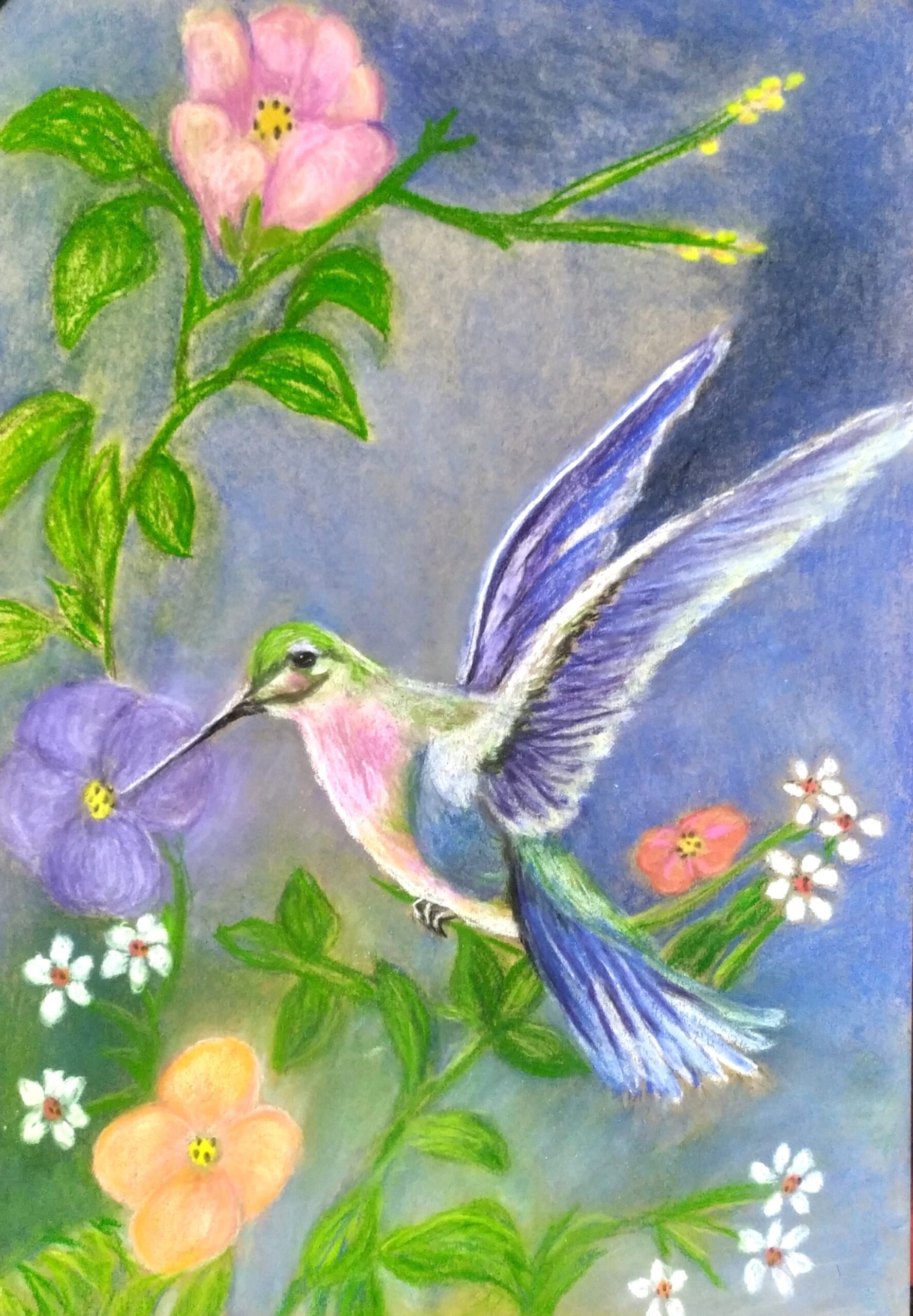 Bella como el arcoiris, 49 x 54cm ,tiza pastel sobre papel